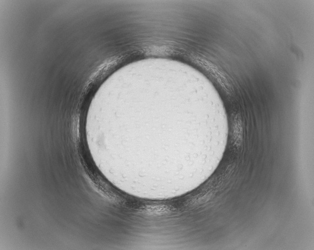 X0000114680686200912021115