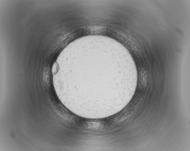 X0000114680698200912021115