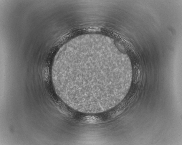X0000114680704200912021115