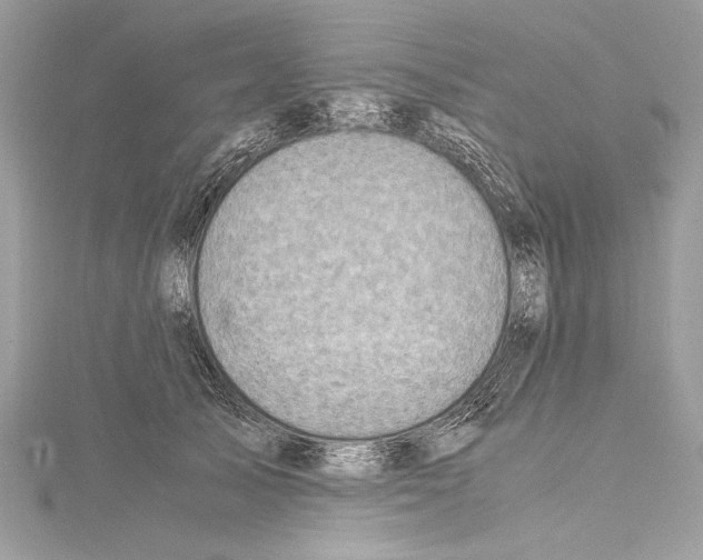 X0000114680705200912021115
