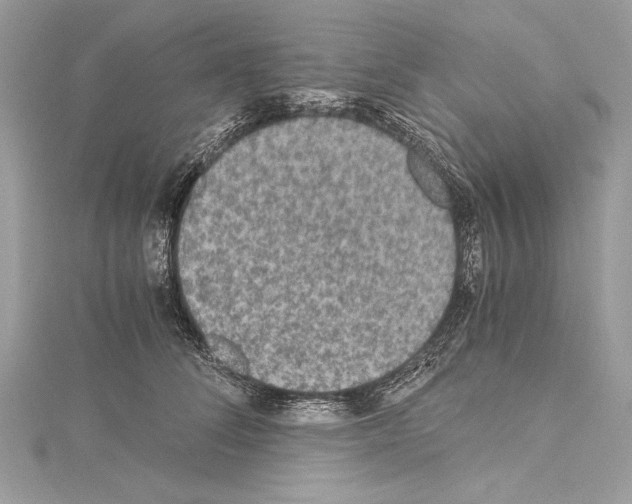 X0000114680708200912021115