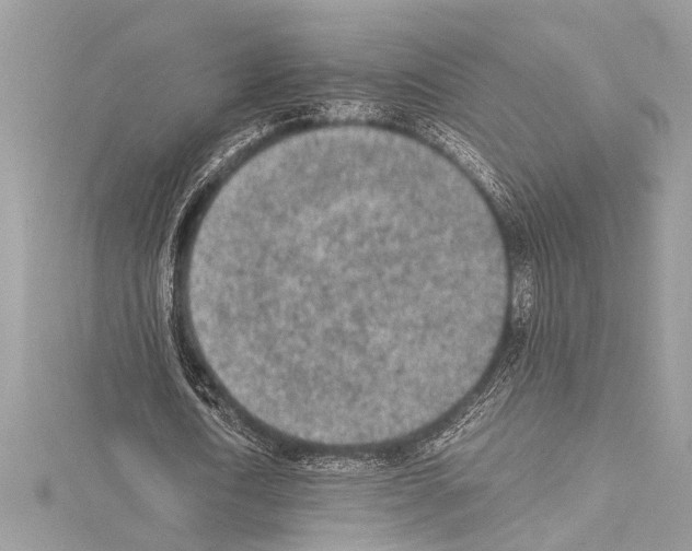X0000114680722200912021114