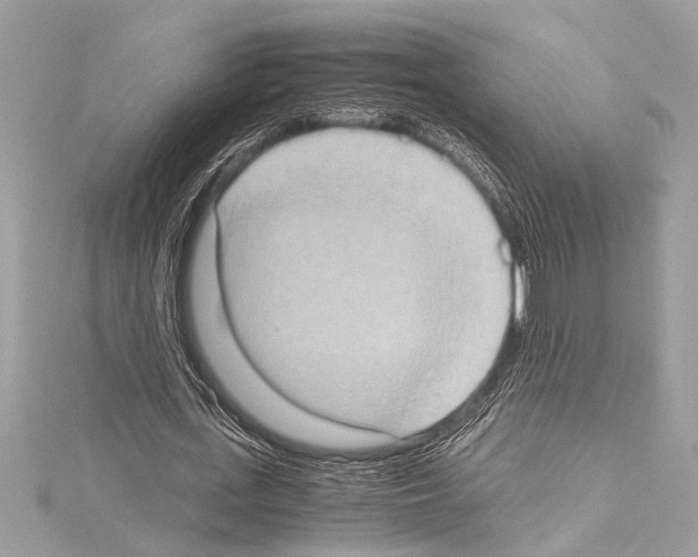 X0000114680723200912021114