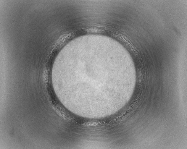 X0000114680738200912021114