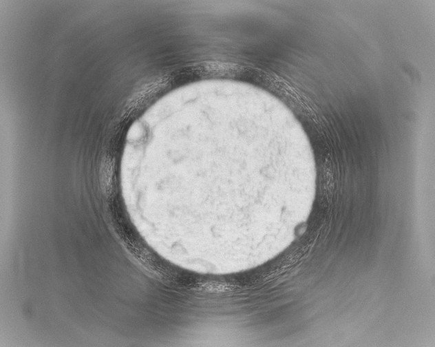 X0000114680742200912021114