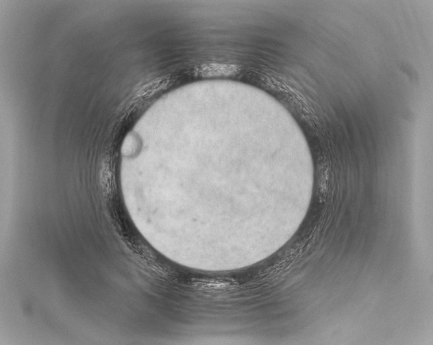 X0000114680743200912021114
