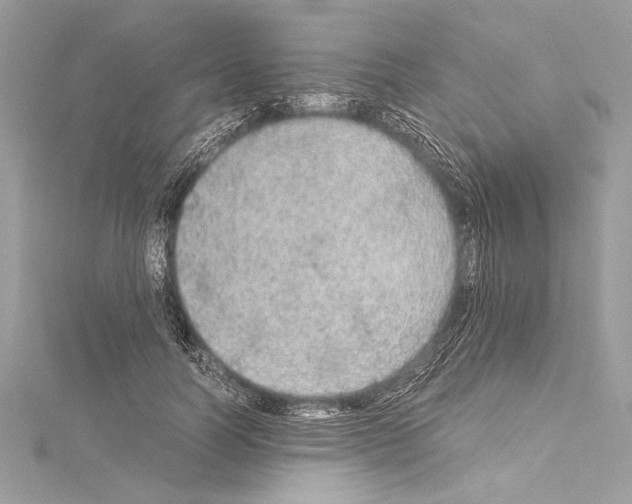 X0000114680746200912021114