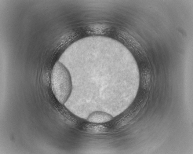 X0000114680747200912021114