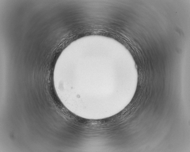 X0000114680750200912021114