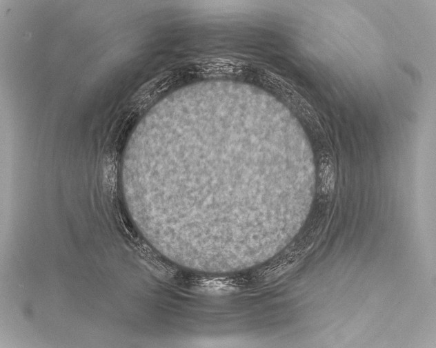 X0000114680753200912021114