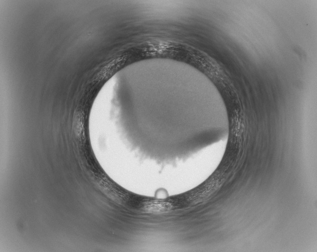 X0000114680754200912021114