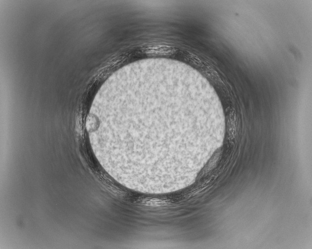 X0000114680755200912021114