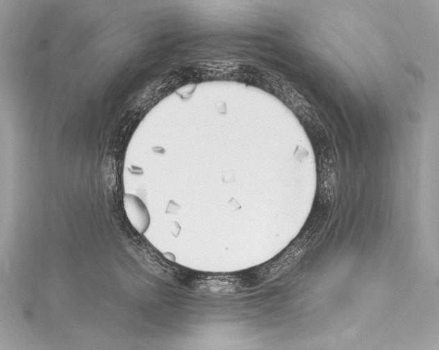 X0000114680758200912021115