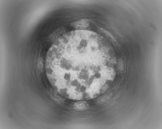 X0000114680761200912021115