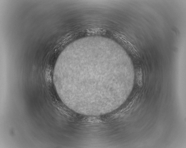 X0000114680770200912021114