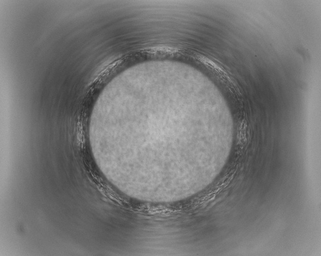 X0000114680774200912021114
