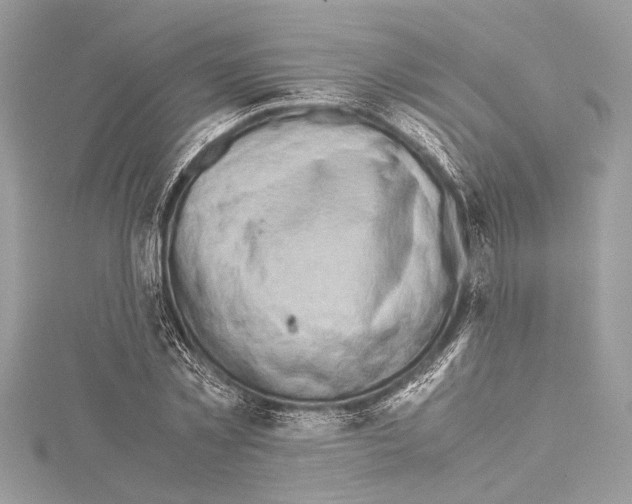 X0000114680781200912021114
