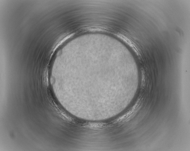 X0000114680782200912021114