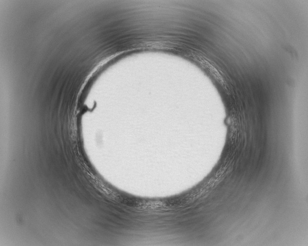 X0000114680784200912021114