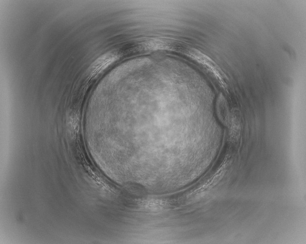 X0000114680785200912021114