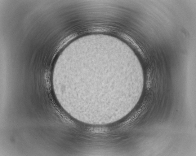 X0000114680786200912021114