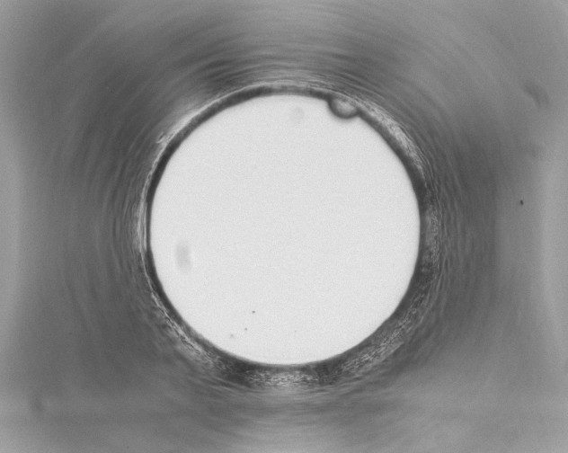 X0000114680791200912021114