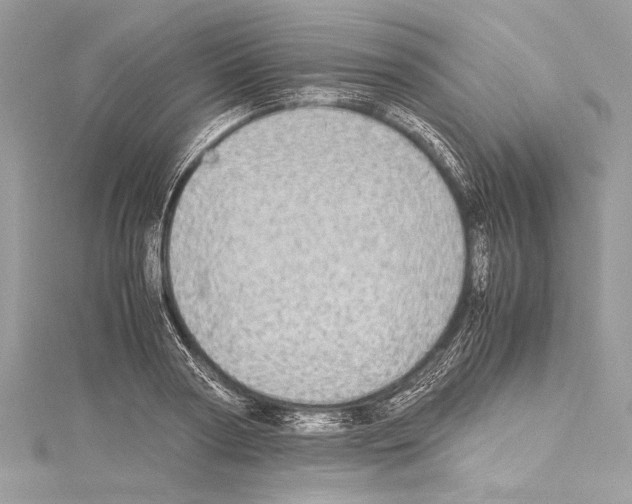 X0000114680794200912021114