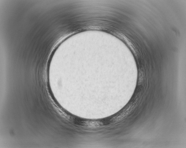 X0000114680795200912021114