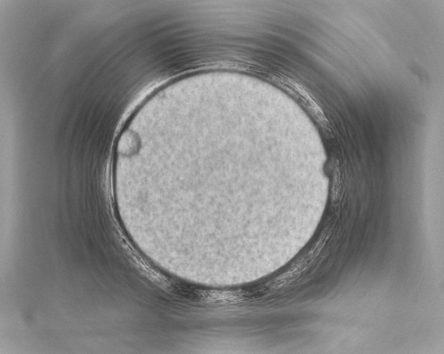 X0000114680796200912021114