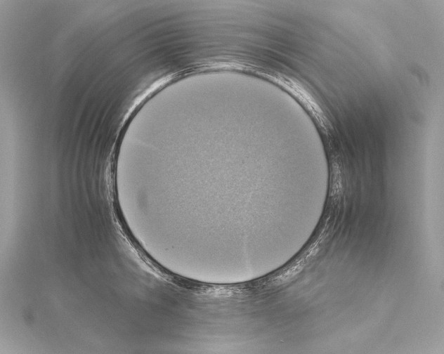X0000114680806200912021114