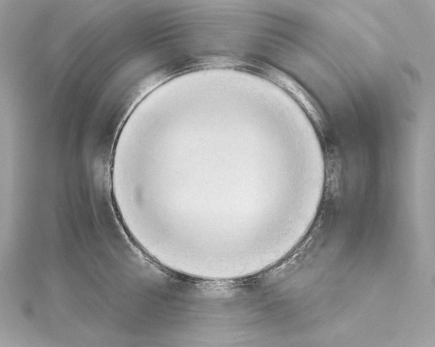 X0000114680810200912021114