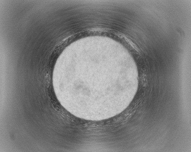 X0000114680821200912021113