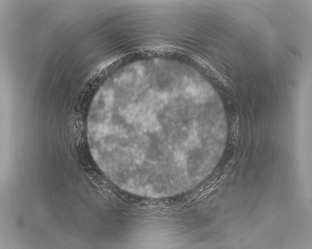 X0000114680822200912021113
