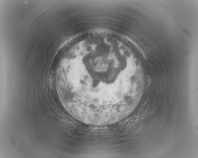 X0000114680823200912021113