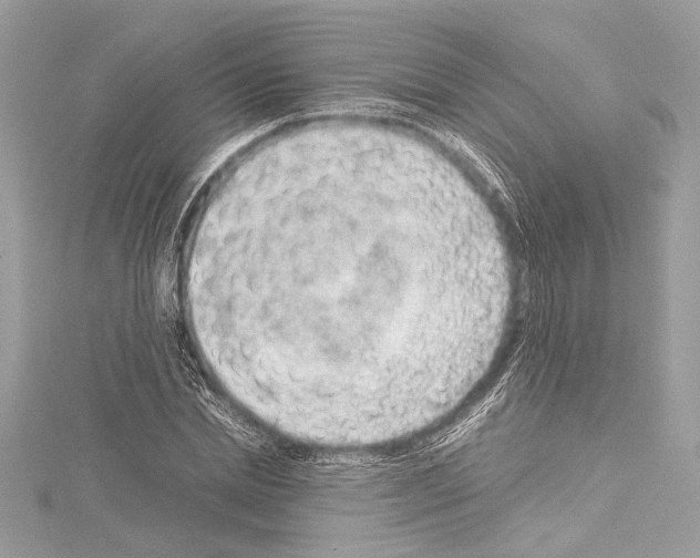 X0000114680830200912021113