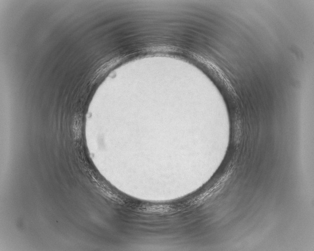 X0000114680833200912021113