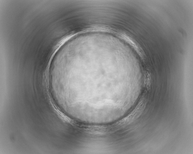 X0000114680836200912021113