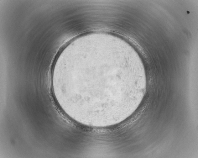 X0000114680840200912021113