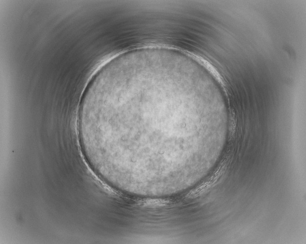 X0000114680847200912021113