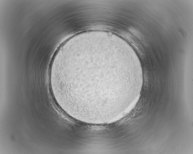 X0000114680848200912021113