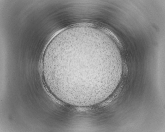 X0000114680852200912021113