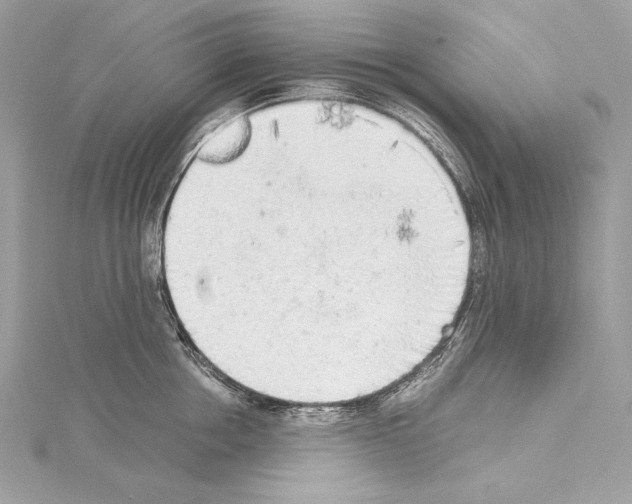 X0000114680858200912021113