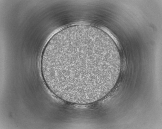 X0000114680861200912021113