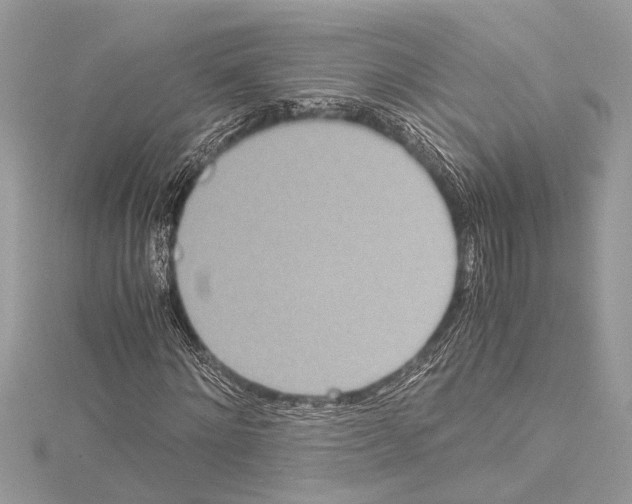 X0000114680868200912021113