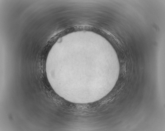 X0000114680870200912021113