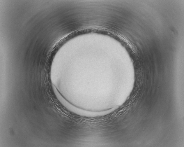 X0000114680872200912021113
