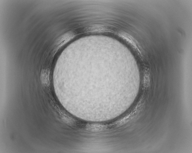 X0000114680873200912021113