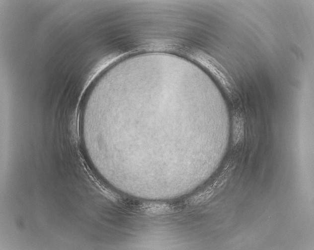 X0000114680886200912021112