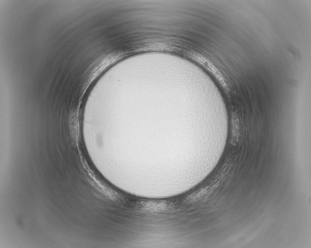 X0000114680890200912021112