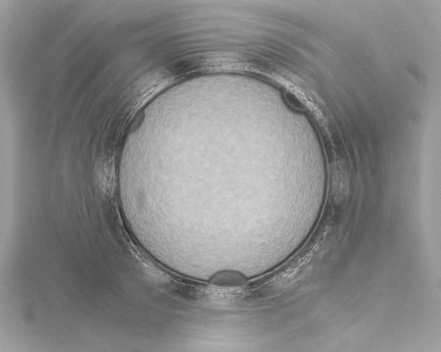 X0000114680897200912021112